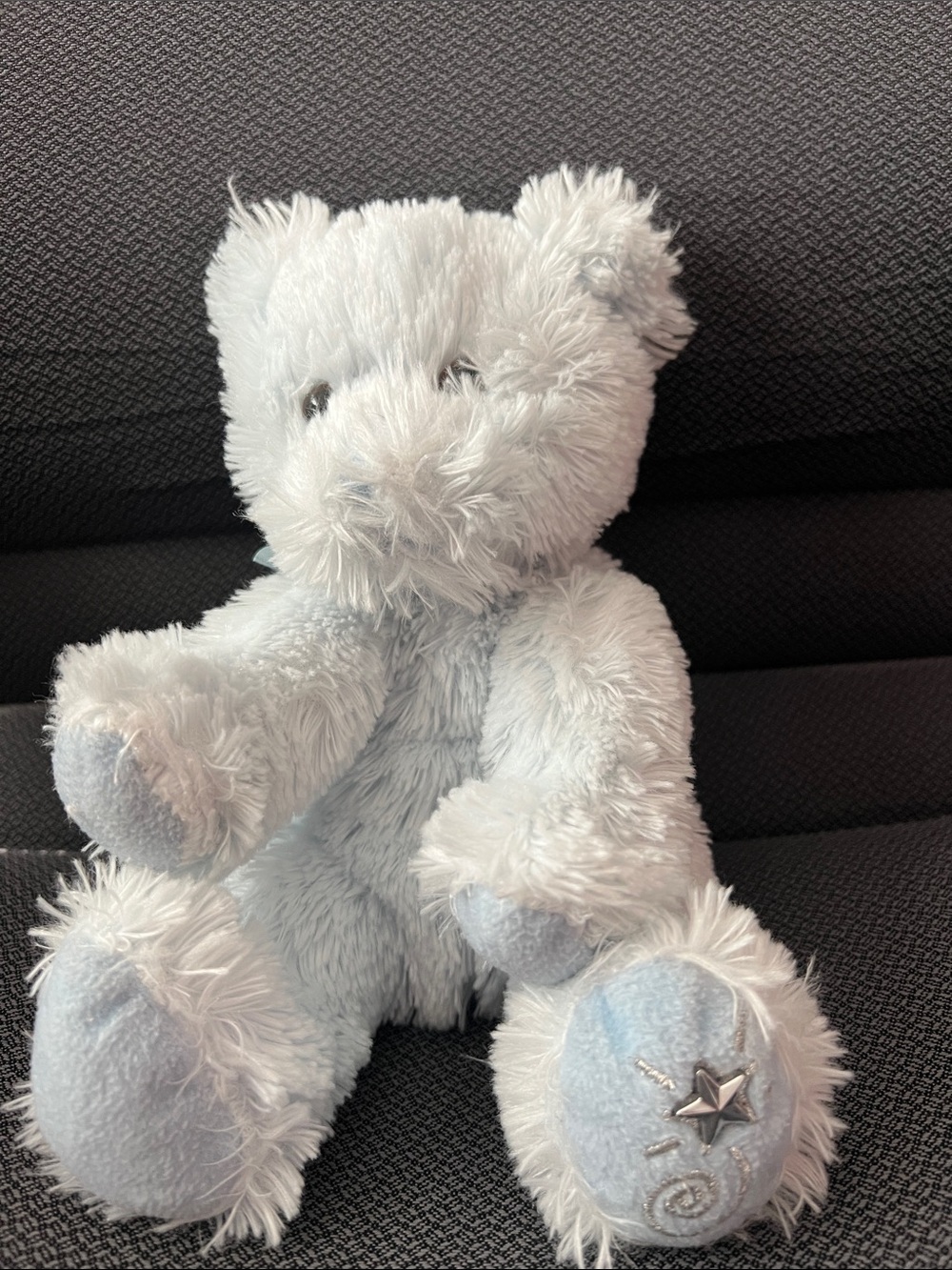 Plush Light Blue Star Accent Teddy Bear Stuffed Animal